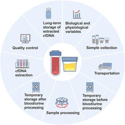 The impact of preanalytical variables on the analysis of cell-free DNA from blood and urine samples